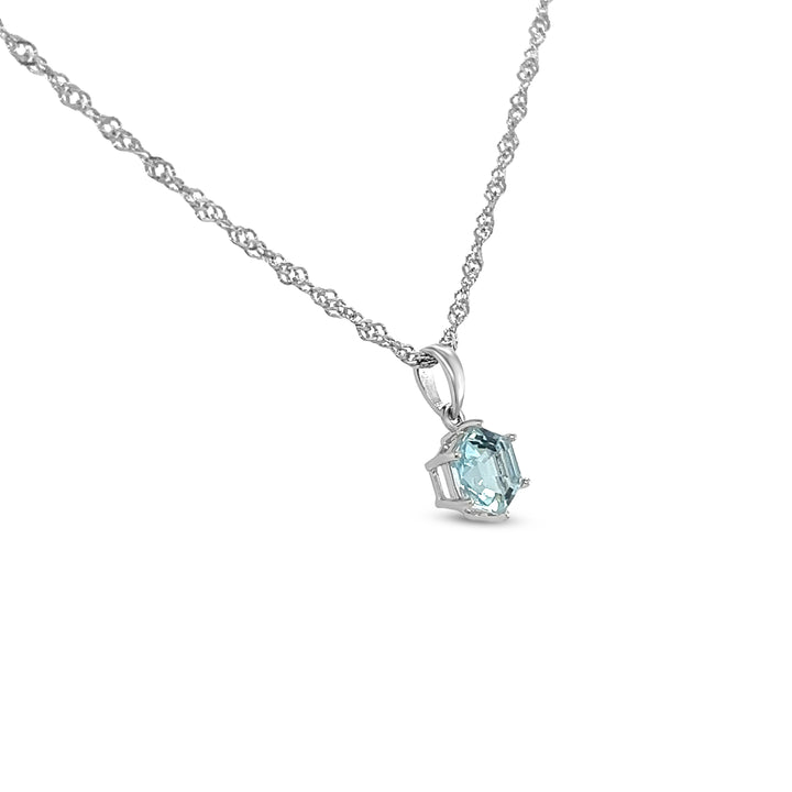 14k Gold Rhodium-Plated Pendant with 1.17ct Hexagon-Cut Aquamarine (PJC31583P)